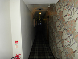 Avon Paranormal Team - The Bear of Rodborough
